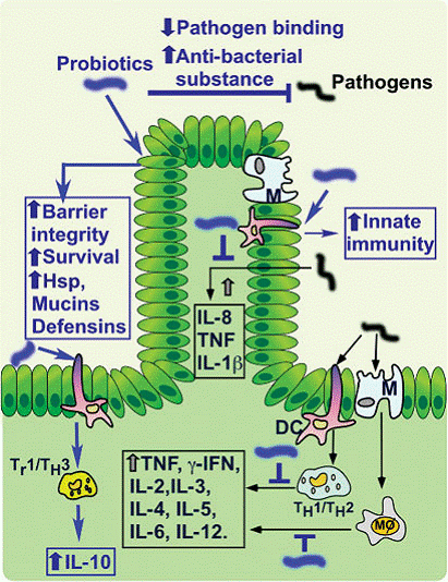 using probiotics against pathogens