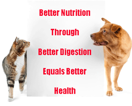 Probiotics for pets 1