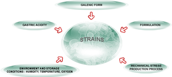 probiotic stability